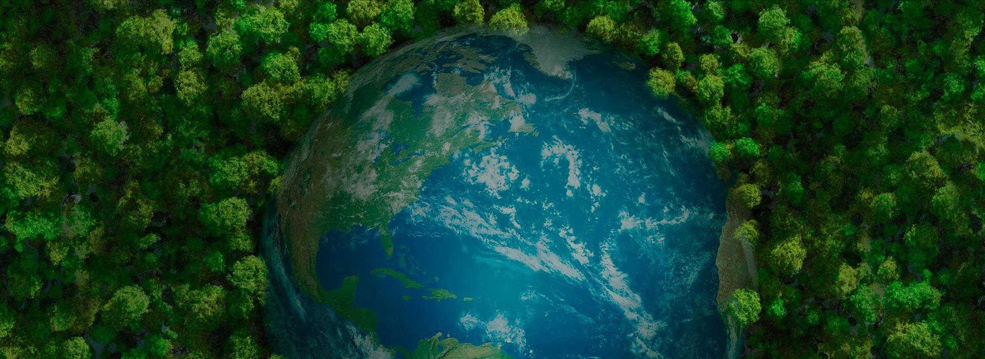 �ŵ�88������վ