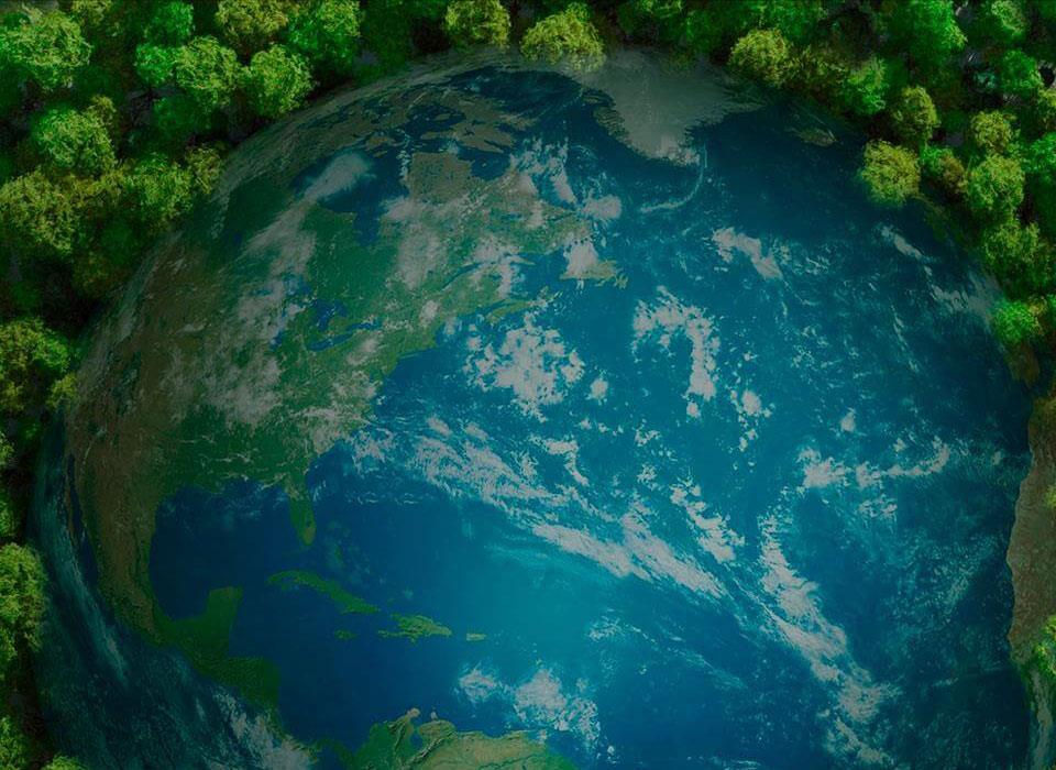 �ŵ�88������վ