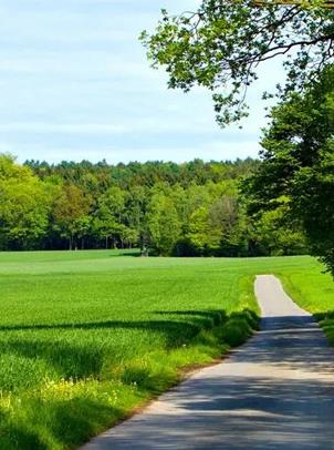 �ŵ�88��(�й���)�ٷ���վ